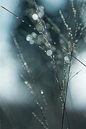 《星球大战：猎人》发布新预告 明年登陆NS和移动平台